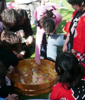 MaySakuraMatsuri (3)