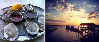 Oyster 1-2