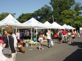 テントショップ