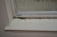 窓カビ