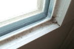 カビ窓 33